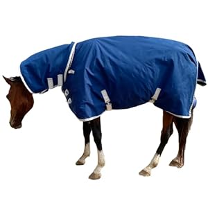 1800D Winter Waterproof Horse Trunout Blanket, 400g / 14oz Warm Cotton Filling Liner with Turnout Neck Cover Detachable, Medium Weight Waterproof Horse Blanket