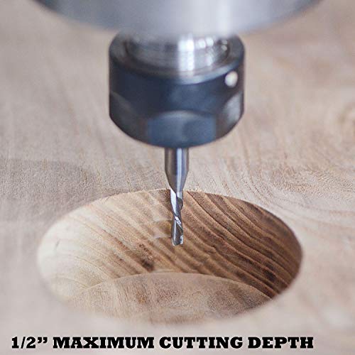 Spetool Cnc Spiral Router Bits With Up Cut 1/8 Inch Cutting Diameter, 1/4 Inch Shank Hrc55 Solid Carbide End Mill For Wood Cut, Carving #TOP7