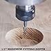 SpeTool Spiral Router Bits with DownCut 1/8 inch Cutting Diameter, 1/4 inch Shank CNC Bits Solid Carbide End Mill for Wood Cut, Carving