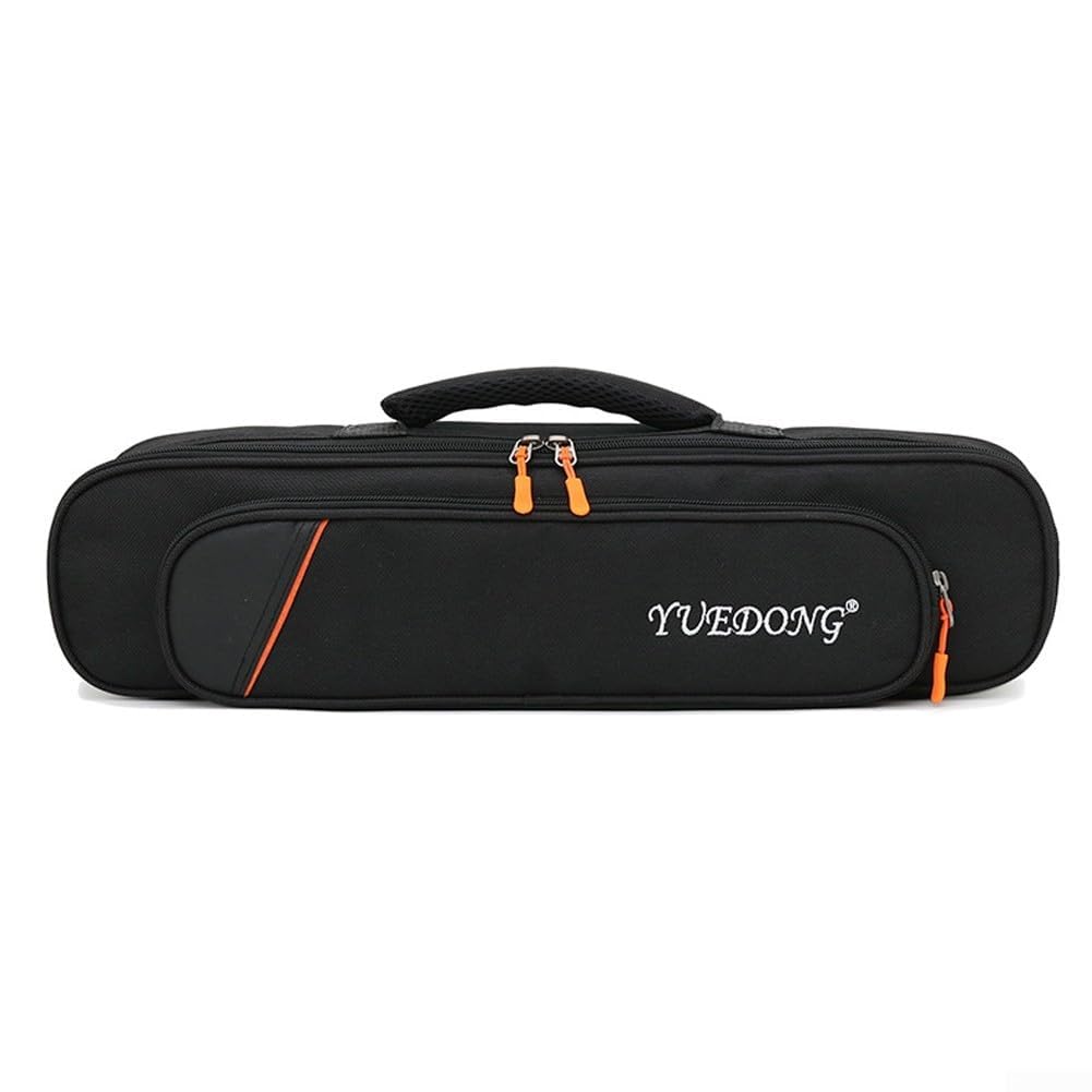 BB Hulusi Sac portable pour instrument à vent électronique numérique Roland AE-01, étui en tissu Oxford avec rembourrage anti-chocs, 49 x 11 x 8 cm