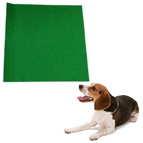 Taiyo Pluss Discovery Washable Dog Resting mat for Medium and Adult Dogs ( Green , L- 36.5 Inch, H- 36 Inch ) (B08DFW5TWC) Amazon Price History, Amazon Price Tracker