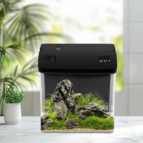 Aquarium compact Betta en verre avec filtration écoénergétique - 7