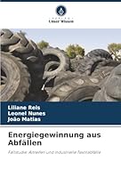 Energiegewinnung aus Abfällen: Fallstudie: Altreifen und industrielle Textilabfälle (German Edition) 6206837890 Book Cover
