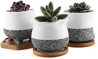 T4U 9CM Succulent Plant Pot with Bamboo Tray Set of 3, Korean Style Cactus Pot Small Bonsai Planter Pot Indoor Home Garden Decoration for Succulent,Cactus,Herb,Aloe and More