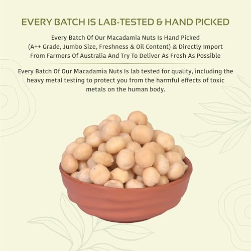 Image of NUTTY ORGANICS Macadamia Nuts - 250 GM | (Grade A ++ Nuts, Premium Jumbo Size)