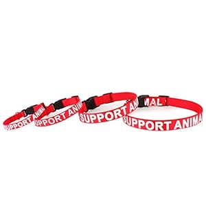 Plutus pet support animal collarprinted in large letters on nylon webbingprevents accidents by warning others of your dog in advancetwo colorsfour sizesneck 8 12 inchextra smallred   cucciolini doodles