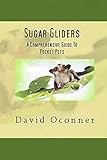 Sugar Gliders