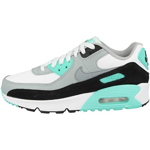 Nike Unisex Air Max 90 Ltr Laufschuh, Gris Humo Claro/Blanco//Plata Metalizado, 38 EU