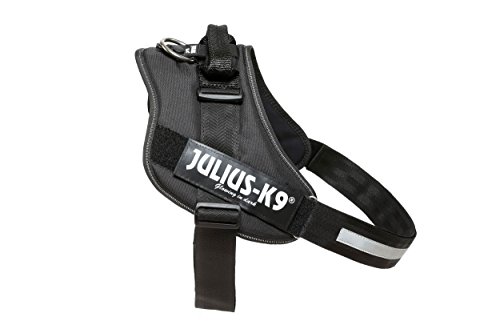 Julius K9 16IDC: Power Harness