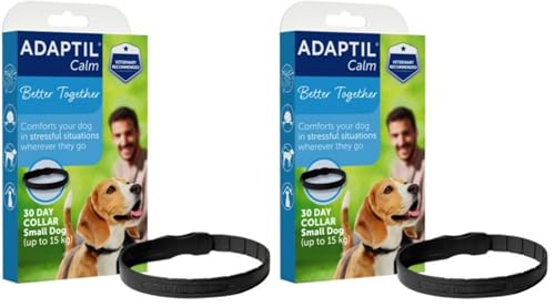 Best Grain For Homemade Dog Food