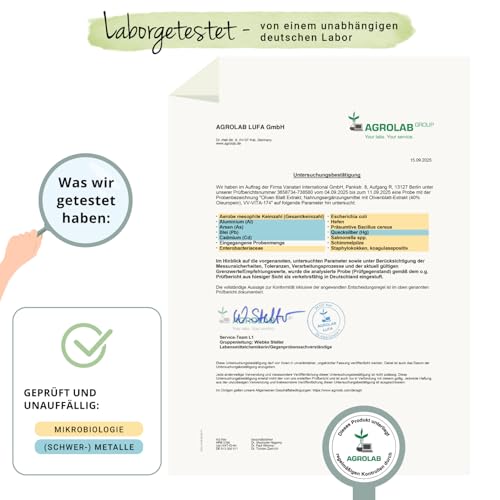 Olivenblattextrakt Kapseln | 40% Oleuropeino | Spanischer Olivenblatt Extrakt (15:1) | 500mg - Entspricht 7500 mg Olivenblättern | 90 Stück | Vegan von Vegavero