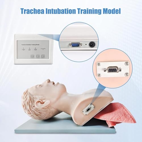 Modello di intubazione per adulti con controller laringoscopico Allenamento di emergenza Gestione delle vie aeree orofaringee Modello anatomico con allarme pressione dei denti Modello di allenamento