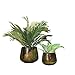 Bloomingville Various Round Metal Planters with Oxidized Finish, Green, Set of 2