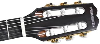 Amazon | PLAYTECH (プレイテック) エレクトリック・ガットギター 薄型