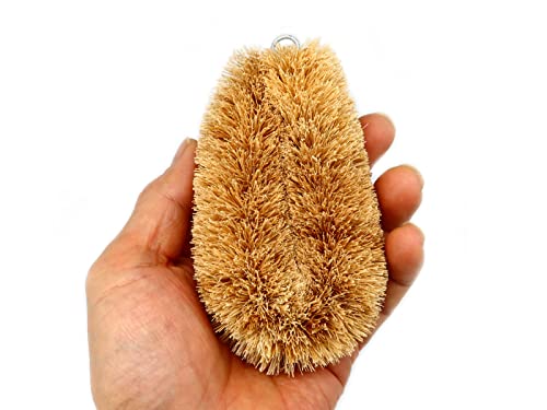 Okuda Tawashi Vegetable Scrub Brush Set Of 2, Slim Type, Japanese Design, Natural Palm Fibers, Veggies And Household Use With Wire Hanging Loop #TOP1