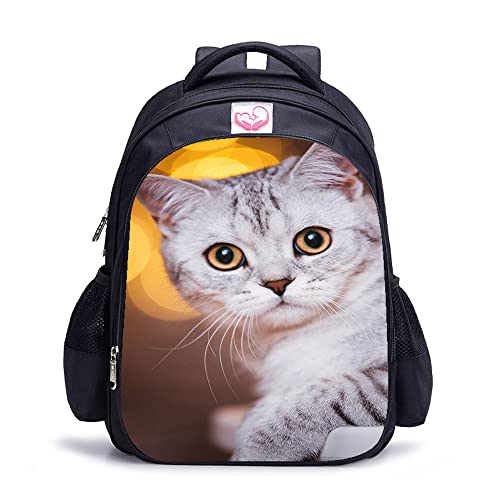 Sac à dos d'école de chat idéal pour la rentrée des classes
