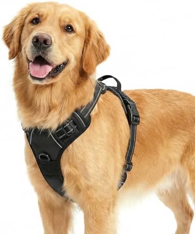 Funfox Anti Zug Hundegeschirr Grosse Hunde mit 2 Ringe, Schwarz | Verstellbar, Weich Gepolstert, Griff, Nachts Reflektierend, Frontclip Hund Geschirr für Spaziergang, L