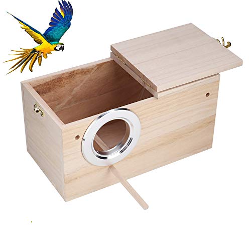 Best Bird Nest For Parakeets