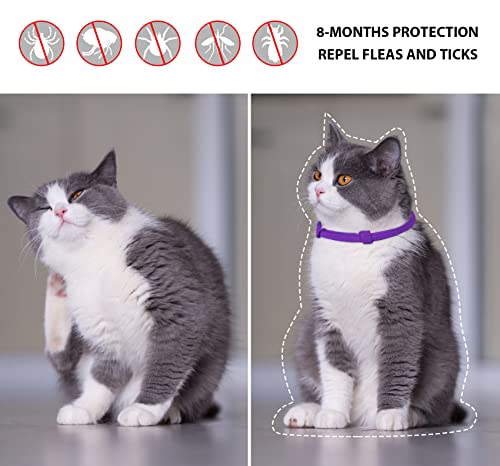 Purple Flea and Tick Collar for Cats & Kittens, Cat Flea Collar 2 Pack Made with Plant Based Essential Oil, 8-Month… - Image 3