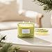 LA JOLIE MUSE Christmas Candle | Starlit Golden Fir | Fir Balsam, Cedarwood & Smoke | 12 oz Soy Candle, Double Wick | 60 Hours Clean Burn | Christmas Gift for Women & Family