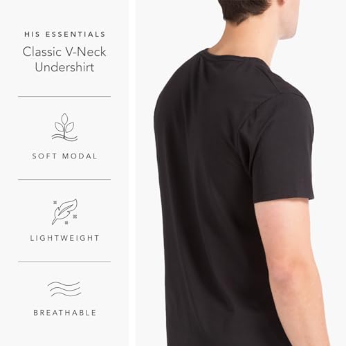 Fishers Finery Men's Classic V-Neck Comfort Soft Keep Tucked Undershirt - Breathable Cotton Modal Blend T-Shirt3