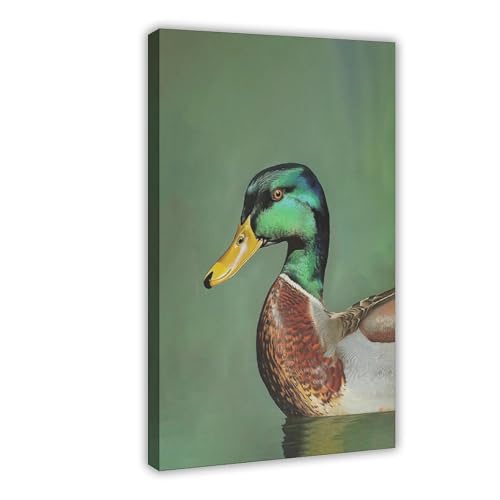 Poster canard colvert style rétro authentique pour une ambiance chaleureuse