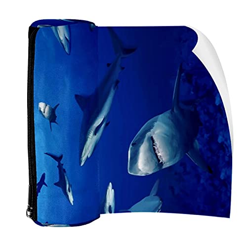 Federmäppchen Unterwasserwelt, Haie, Tasche mit Reißverschluss, für Schreibwaren, Reisen, Schule, Studenten