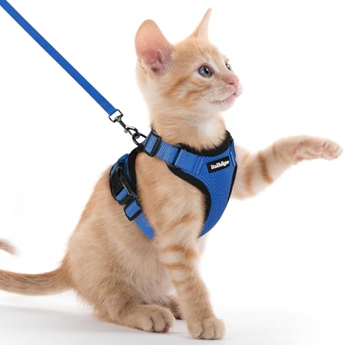 rabbitgoo Pettorina Gatto Antifuga con Guinzaglio, Guinzaglio per Gatti Regolabile, Pettorina Cane Taglia Piccola Riflettente, Imbracatura Gatto Adulto in Maglia Traspirante per Passeggiate, Blu, XXS