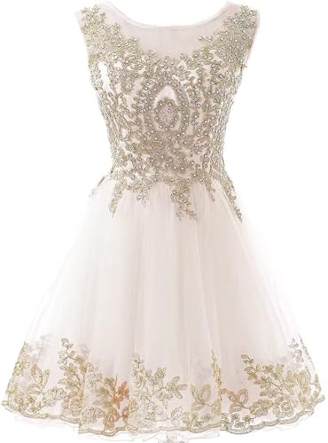 Lace Applique Homecoming Dresses for Teens 2025 Short Prom Dress A Line Tulle Cocktail Party Dresses