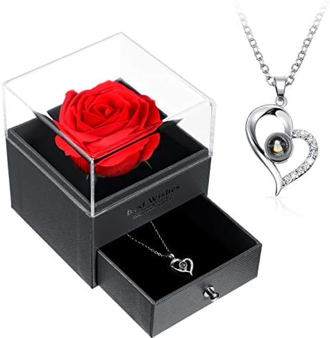 I Love You Necklace 100 Languages Projection Heart Pendant Necklace Crystal Loving Memory Collarbone Necklace with Red Rose Jewelry Storage Box for Women Girls Valentine's Day Gift (Silver)