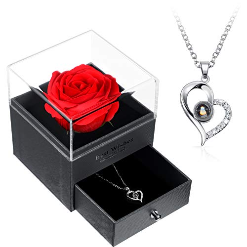 Hicarer Necklace Gift for Girlfriend I Love You in 100 Languages Projection Pendant Necklace with Preserved Red Rose Flowers in Box for Women Mom Wife on Anniversary Birthday
