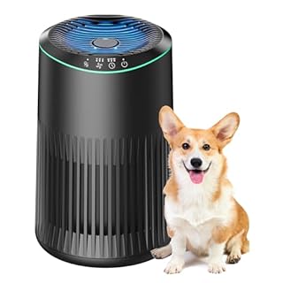 MORENTO Air Purifiers for Home, Air Purifier for Smoke Pet Dander Odors with Fragrance Sponge, Small Air Purifier with Sleep Mode for Bedroom Office, Blue Ambient Light, MR2566, Black, 1 Pack+3 Modes