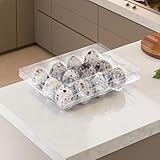 Zoom IMG-1 vassoi per uova in plastica Zoom IMG-1 vassoi per uova in plastica