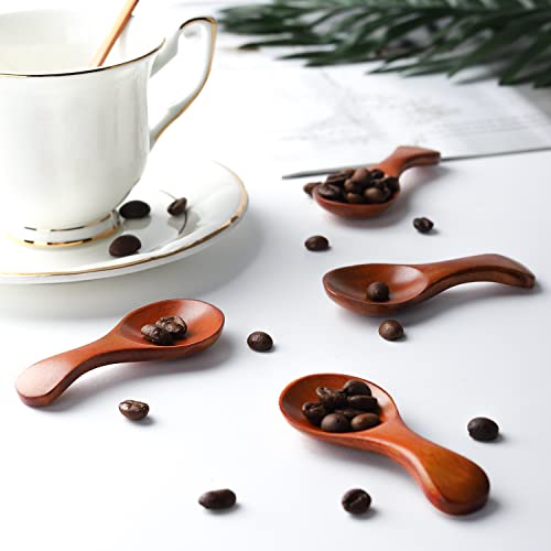 Small Wooden Salt Spoon 12 Pack Mini Wood Spoon With Short Handle For Small Jars Of Jam, Spices, Condiments, Seasoning, Sugar, Honey, Coffee, Tea, Mustard, Ice Cream, Milk Powder #TOP6