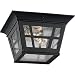 Sea Gull Lighting 78131-12  Herrington Two-Light Outdoor Ceiling Flush Mount Hanging Modern Light Fixture, Black Finish