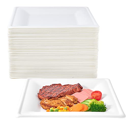 ECOLipak 150 Pieces Compostable Square Paper Plates 10 inch Disposable Plates Square Eco-friendly Biodegradable Sugarcane Bagasse Plates for Party Dinner Birthday
