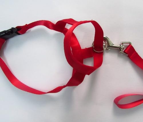 �yVofuxo�z���p�w�b�h�J���[ �W�F���g�����[�_�[�n�[�l�X ���p�}�Y�� ��� ���� ��������h�~ ���� �P�� �T�C�Y���߉� ���E�ȒP ���p�r �g���₷�� ���^�� ���^�� ��^�� ���p�i(C,M)