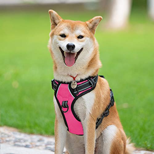 PoyPet No Pull Hundegeschirr, reflektierendes Westengeschirr mit 2 Leinenbefestigungen und einfachem Steuergriff für kleine mittelgroße Hunde (Rosa, M (1er Pack))