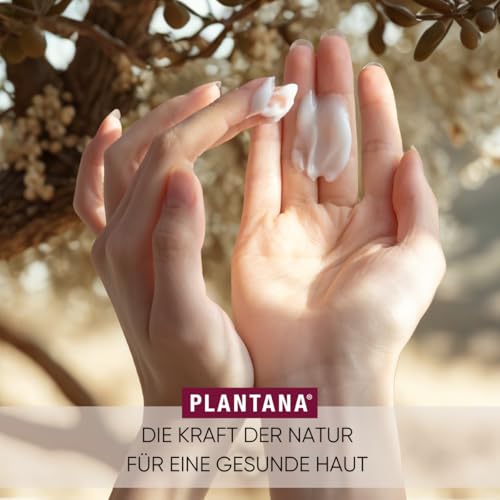 PLANTANA® Bio-Olive Körpercreme 500 ml | für trockene anspruchsvolle Haut | mit Vitamin E | vegan | Fair Trade | aus biologischem Anbau | dermatologisch getestet | ergiebig | schnell einziehend