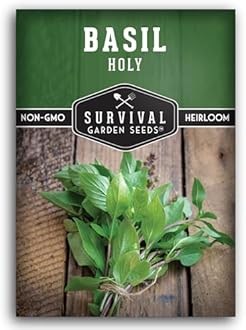 Survival Garden Seeds - Holy Basil Seed for Planting - 1 Packet with Instructions to Plant and Grow The Indian Sacred Herb Tulsi in Your Home Vegetable Garden - Non-GMO Heirloom Variety - Indian Herb