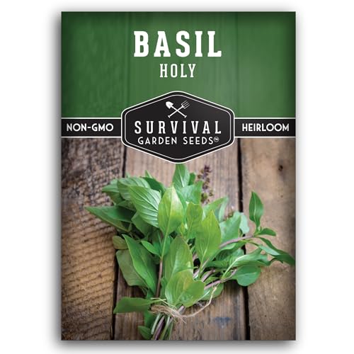 Holy Basil Seed for Planting - Indian Sacred Herb Tulsi Seeds to Grow in Your Home Vegetable Garden - Non-GMO Heirloom Variety - Survival Garden Seeds (1 Pack)