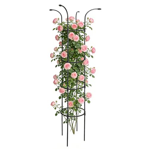 Treillis d'extérieur pour plantes grimpantes et tomates - 2