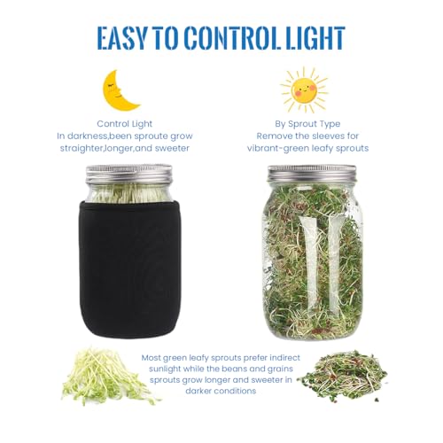 Image of HASTHIP Seed Sprouting Jar with Lid 32Oz Glass Sprouting Mason Jar with Shading Sleeve Ventilation Stainless Steel Mesh Lid Reuseable Glass Sprouting Mason Jar for Edible Sprouts, Mung Beans, Lentils