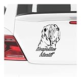 matin de naples elevage belgique Matériau durable : Vinyle de haute qualité, résistant à l'eau