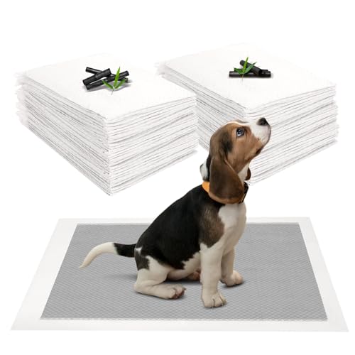 JANUIXCO 40 Unidades Empapadores Perros 60 × 60 cm - Empapadores Higiénica para carbón para Control de Olor - Superficie de Secado Rápido, Transpirables