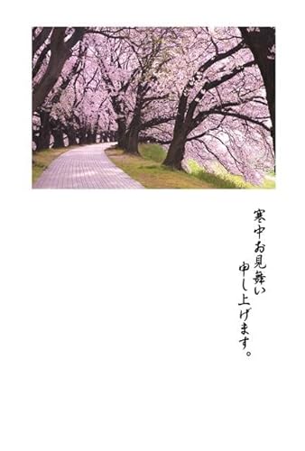 y|XgJ[hLac et Soleilzu\グ܂Bv͂EtEnKLpostcard-photo by i.com