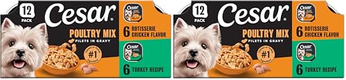 Image of Cesar Filets in Gravy Adult Wet Dog Food Variety Package,Poultry Lovers with Rotisserie Chicken Flavor and Turkey Recipe,3.5 oz. Easy Peel Trays,12 Count (Pack of 4)