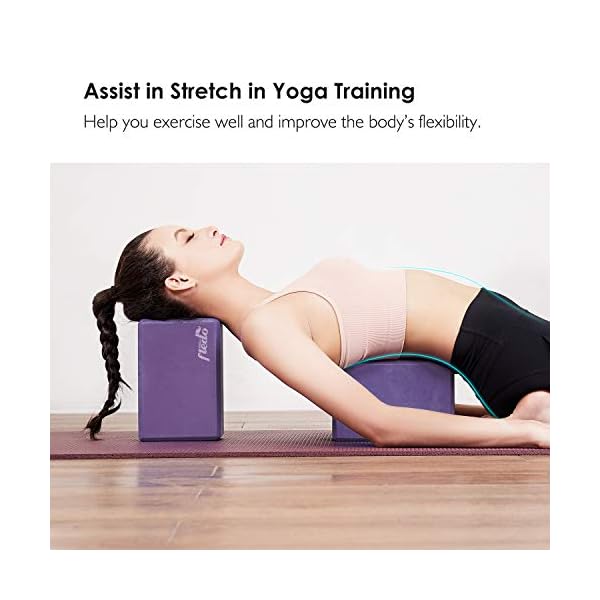 Fledo Yoga Blocks 2 Pack 9"x6"x4" - EVA Foam Brick, Featherweight and Comfy - Provides Stability and Balance - Ideal for Exercise, Pilates, Workout, Fitness & Gym (Purple)