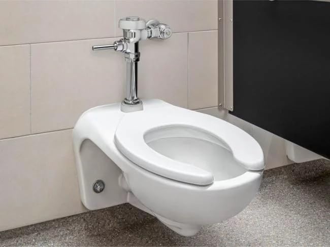 Miniatura 7 de Sloan Regal 186 - Flushometer manual expuesto, válvula de descarga manual 1.0 GPF - Mango de descarga simple sin sujeción, conexión de accesorio