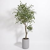 CG Hunter Faux Ficus Tree, Premium Artificial Indoor Plant Stands 6.5&rsquo; Tall, Lifelike-Leaves and...